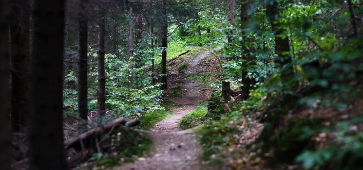 80km trať | SINGLETRACK MARATÓN KOŠICE