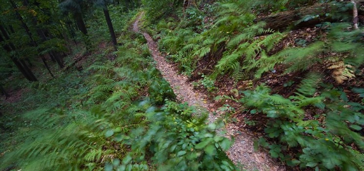 20km trať | SINGLETRACK MARATÓN KOŠICE